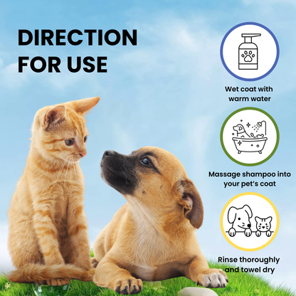 Tearless Shampoo for Puppy