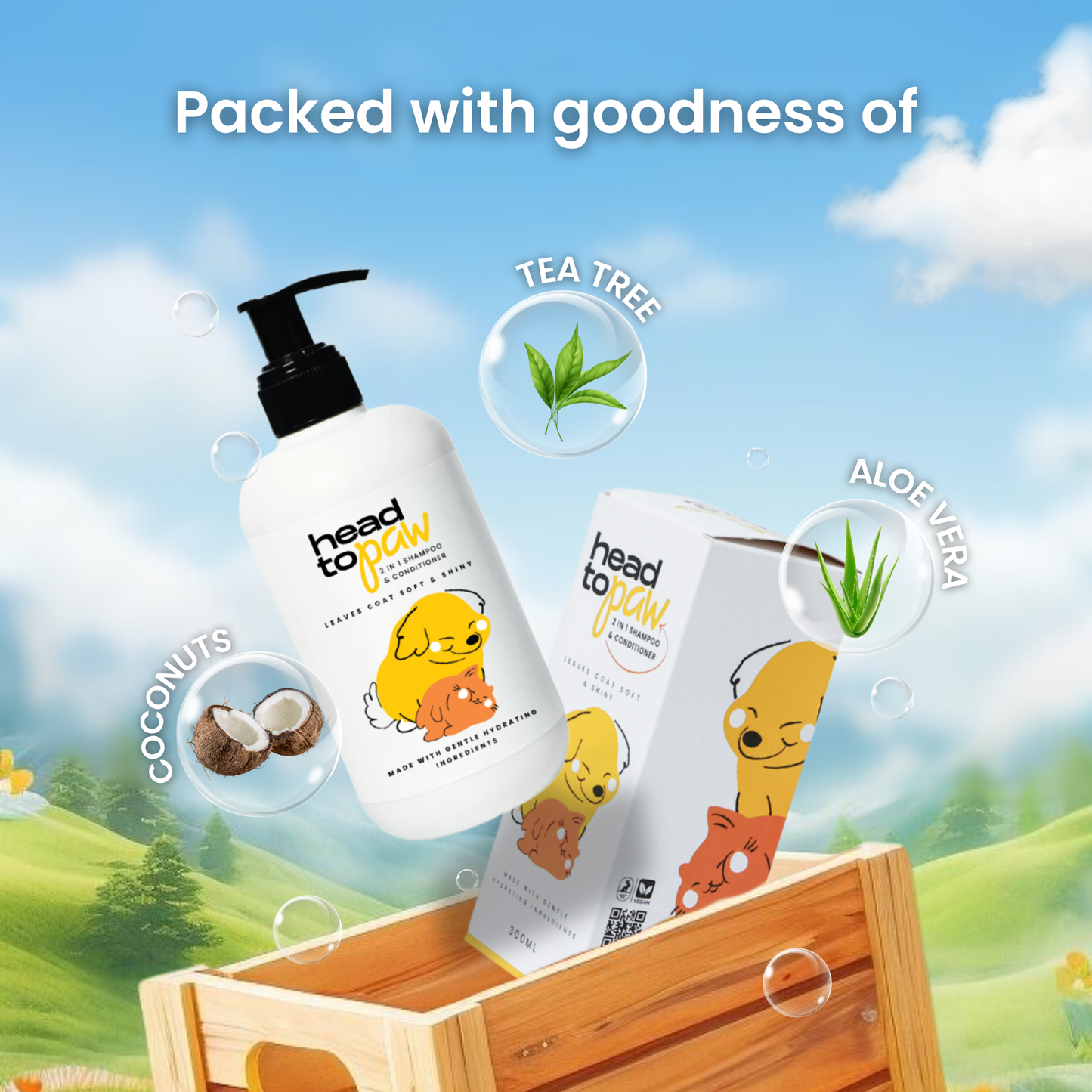 Shampoo and Conditioner