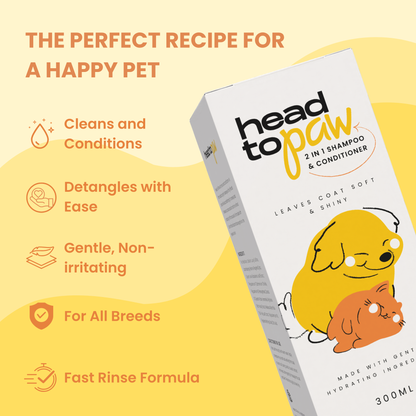 Shampoo and Conditioner