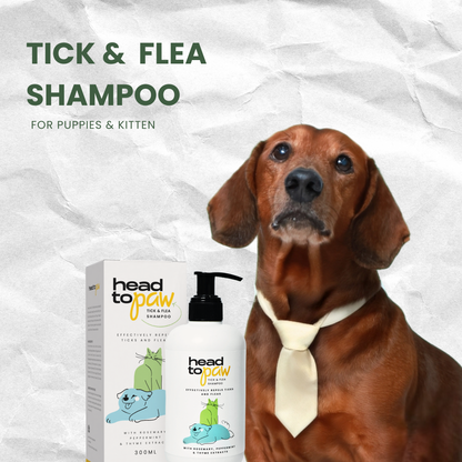 Tick & Flea Shampoo
