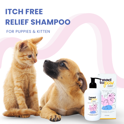 Itch Relief Shampoo